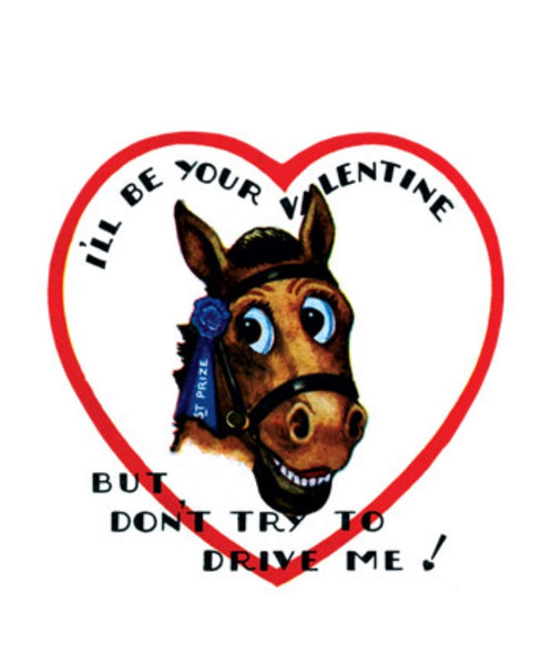 "Zebra" Set of 15 Assorted Retro Valentines